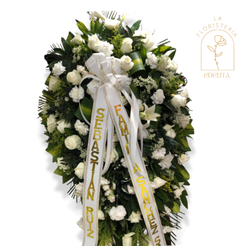 Paz y Luz