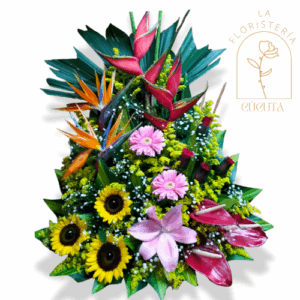 Jardinera 02